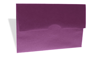 brown bag envelopes bag flap A-7 cranberry