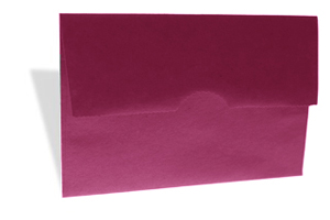 brown bag envelopes bag flap A-2 eggplant
