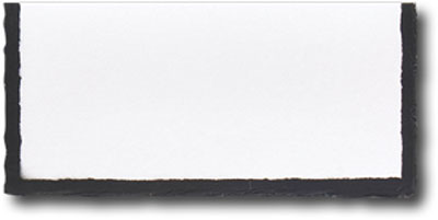 Blank Place Cards for Wedding or Any Occasion - Heavy Cardstock Paper Black Torn Edge Border